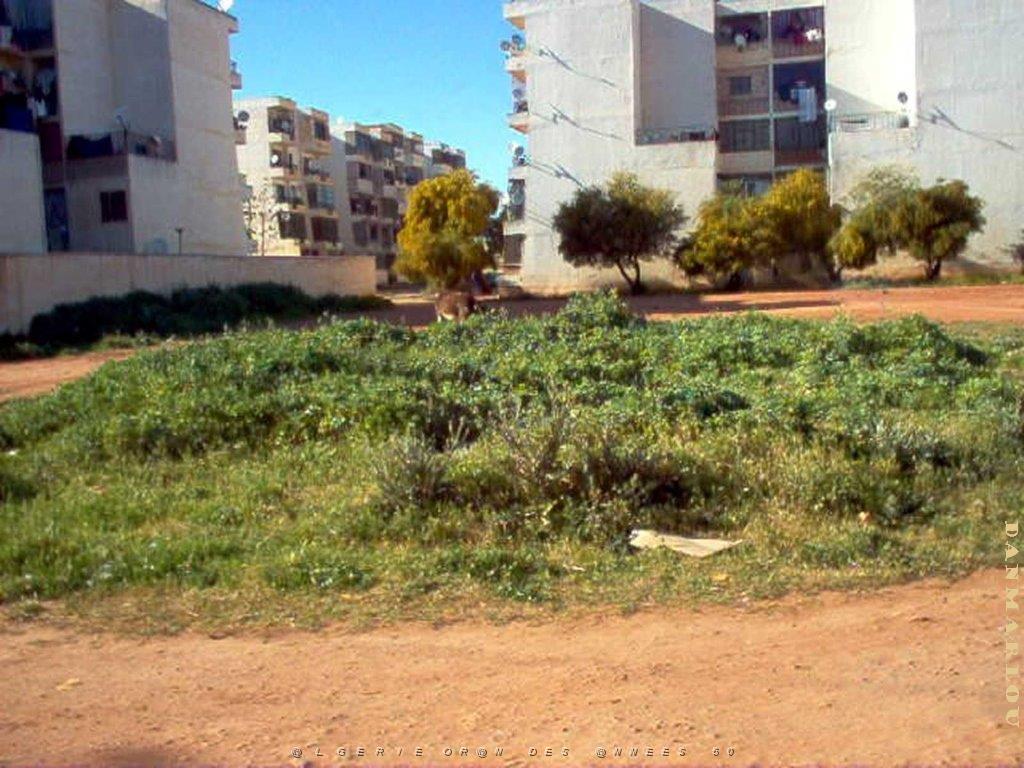 Algerie avril2005 062.jpg